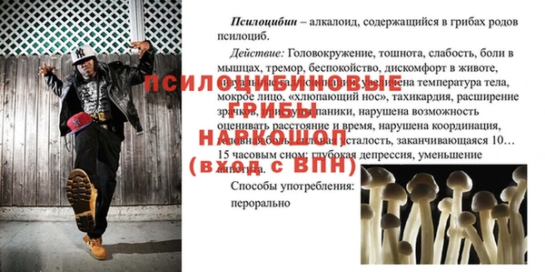 ПСИЛОЦИБИНОВЫЕ ГРИБЫ Арсеньев
