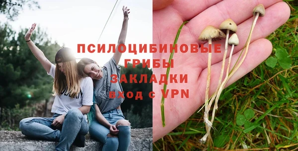 ПСИЛОЦИБИНОВЫЕ ГРИБЫ Арсеньев