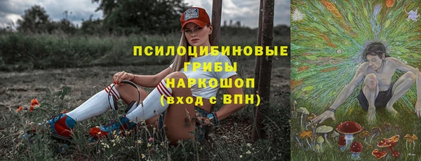 ПСИЛОЦИБИНОВЫЕ ГРИБЫ Арсеньев